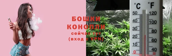 дмт Бородино