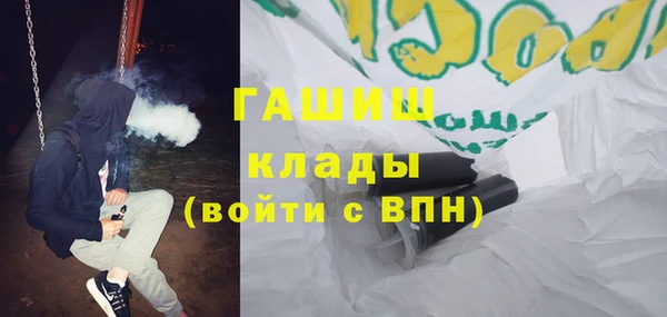 дмт Бородино