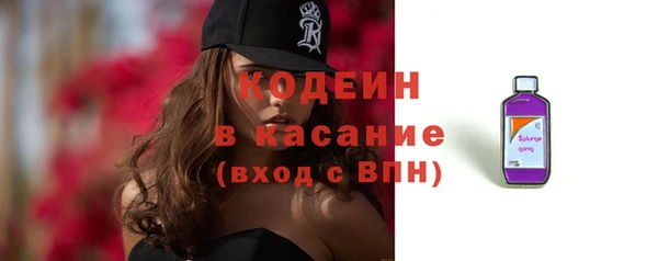 дмт Бородино