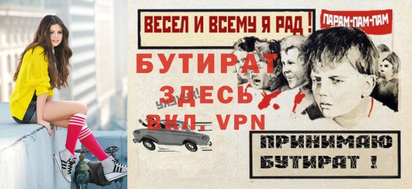 дмт Бородино