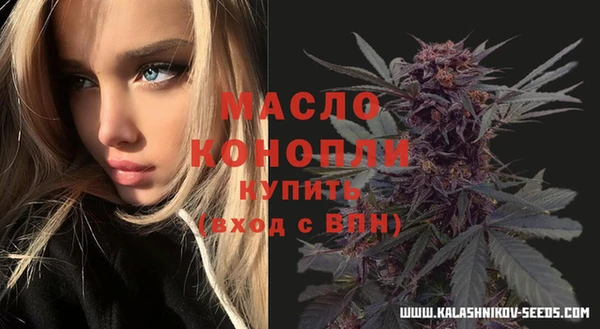 дмт Бородино
