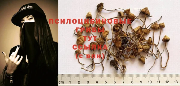 ALPHA-PVP Бугульма