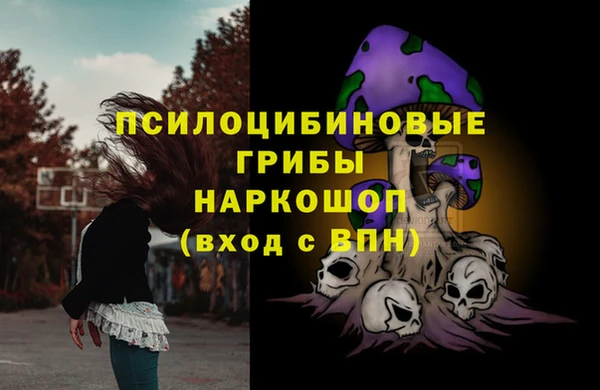 соль ск Бронницы