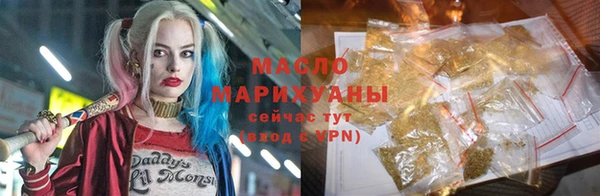 дмт Бородино